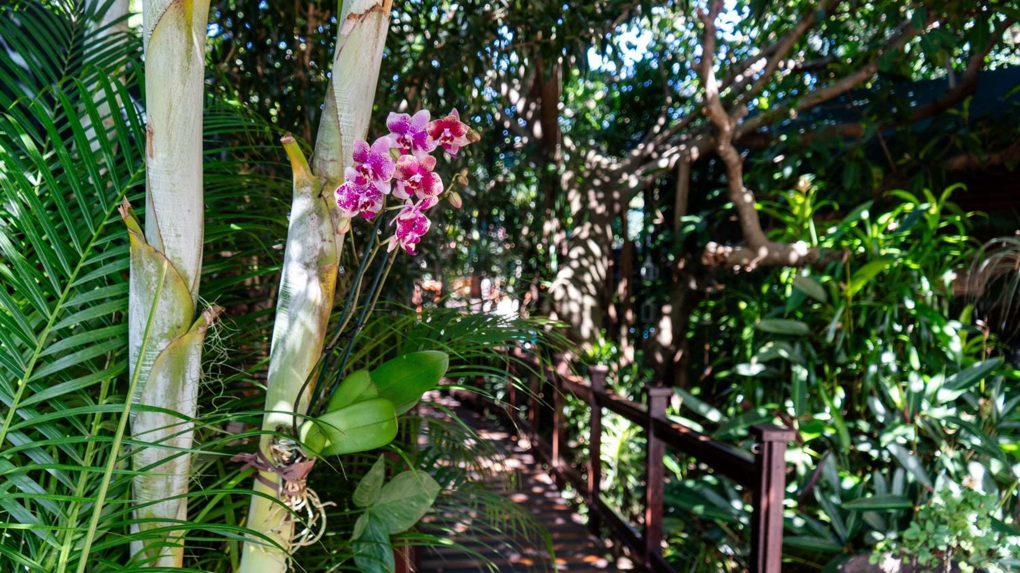 Luxury Tented Village @ Urban Glamping St Lucia Exterior photo